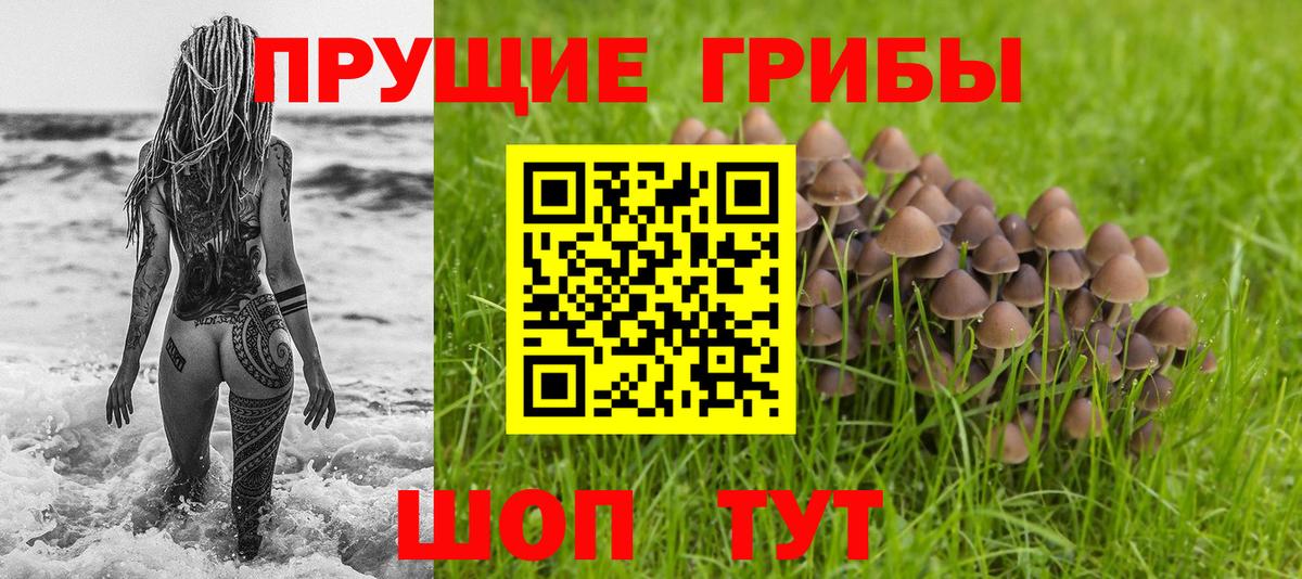 Псилоцибиновые грибы MAGIC MUSHROOMS Ногинск